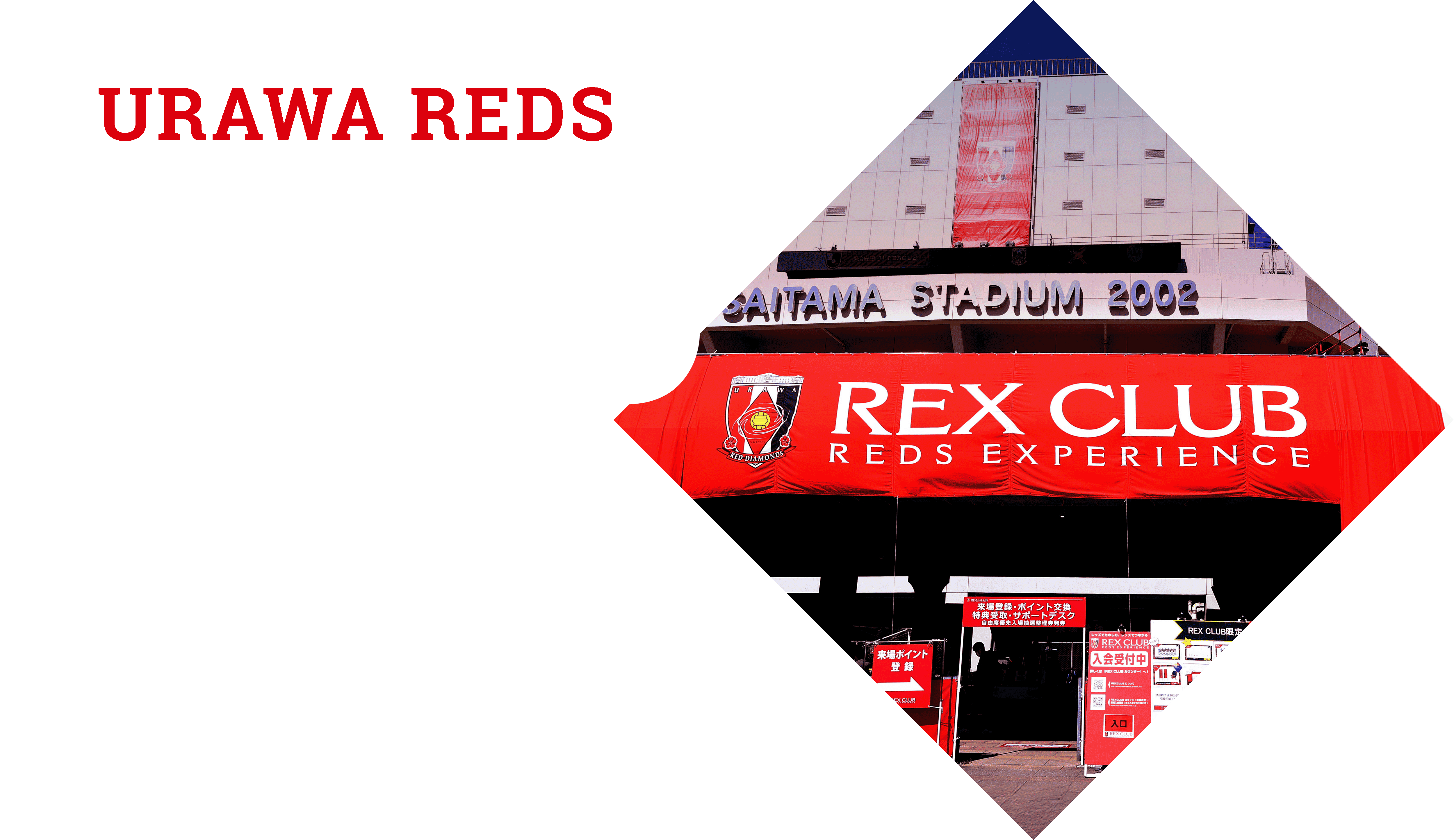 REX CLUB