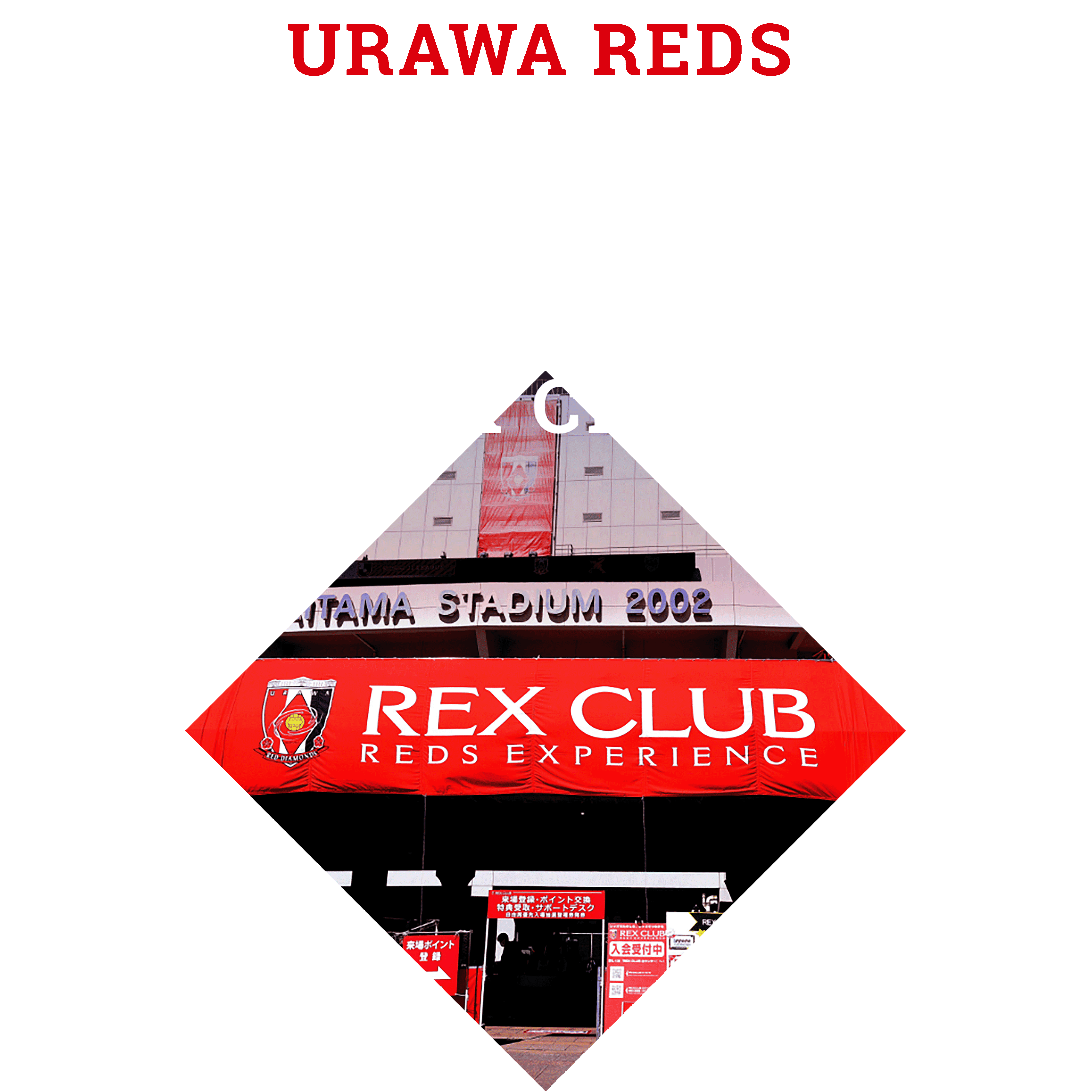 REX CLUB