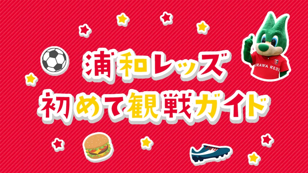 初めて観戦ガイド