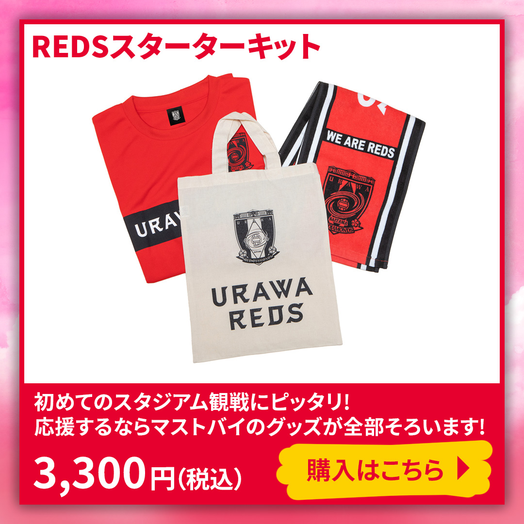 REDSスターターキット