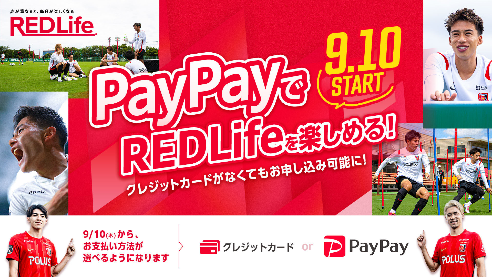 REDLifeでPayPay決済がスタート!